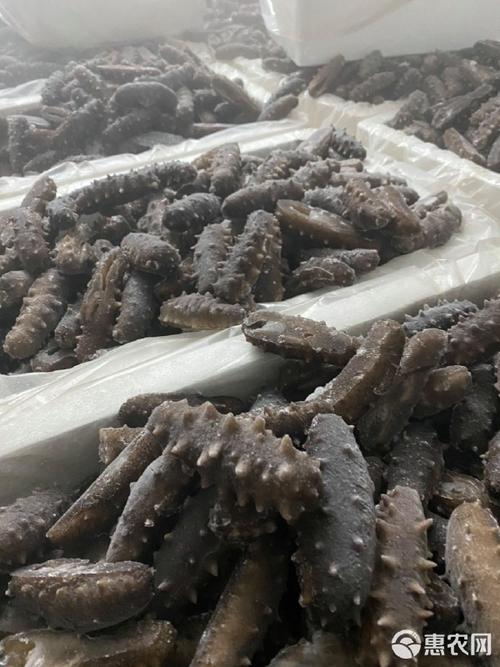 顺丰即食海参工厂直发期待与您配合860头好口感