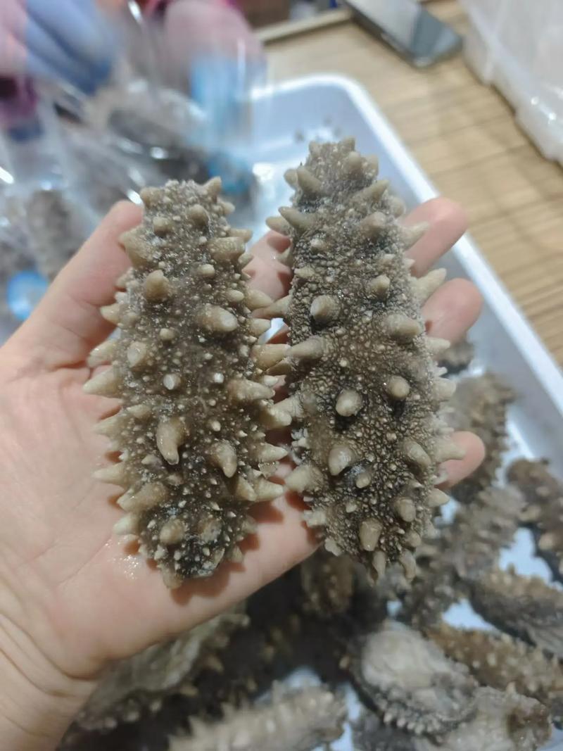 工厂直发,即食参,淡干参,礼盒参,顺丰发货