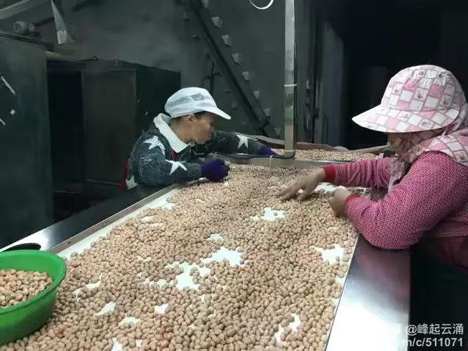 余顺丰花生观光工厂